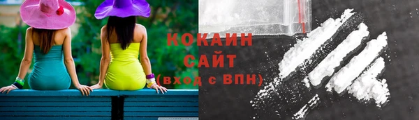 ECSTASY Белокуриха
