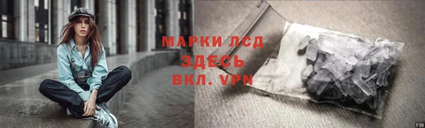 ECSTASY Белокуриха