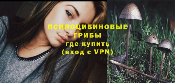 спайс Беломорск