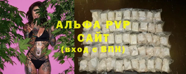 ECSTASY Белокуриха
