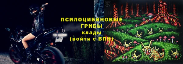 ECSTASY Белокуриха